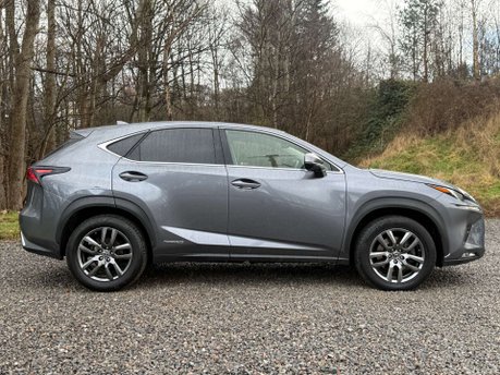 Lexus NX 2.5 NX 300h CVT 4WD 5dr