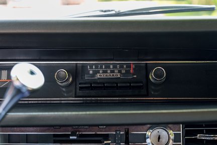 Ford Country Squire 20