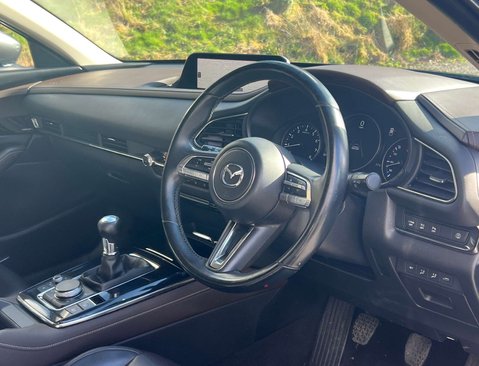 Mazda CX-30 2.0 CX-30 GT Sport MHEV 5dr 8