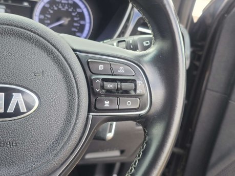 Kia Niro 1.6 GDi 2 SUV 5dr Petrol Hybrid DCT Euro 6 (s/s) (139 bhp) 31