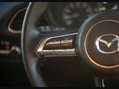 Mazda CX-30 2.0 CX-30 Sport Luxury MHEV 5dr 31
