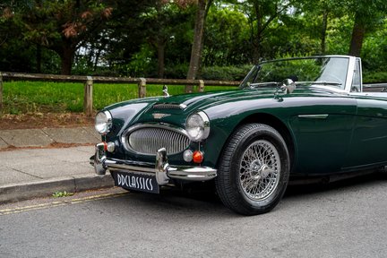 Austin Healey 3000 13