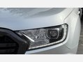 Ford Ranger WILDTRAK ECOBLUE 10