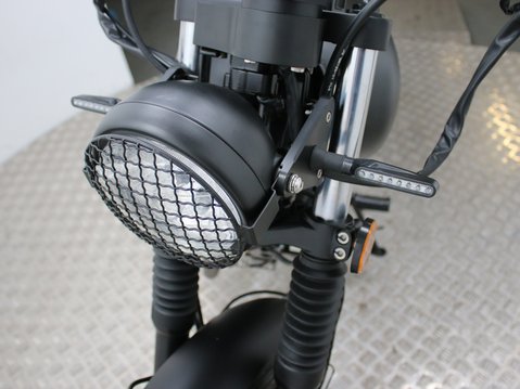 Mutt Mongrel 125 Pre-registered 17
