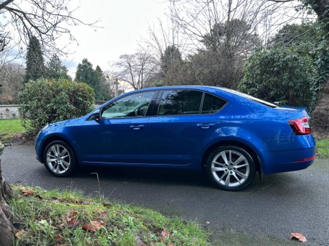 Skoda Octavia SE L TSI DSG 17