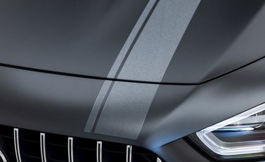 Mercedes-Benz Amg GT GT 63 S Edition 1 23