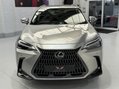 Lexus NX 450H PLUS TAKUMI 8