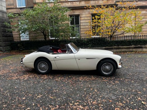 Austin Healey 3000 43