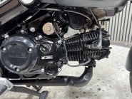 Honda MSX125 GROM 125 2022 5 SPEED 6K MOT OCTOBER 2027 125CC MINI BIKE 41