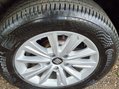 SEAT Alhambra TDI ECOMOTIVE S 14