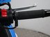 Suzuki Inazuma GW 250 FL5 16