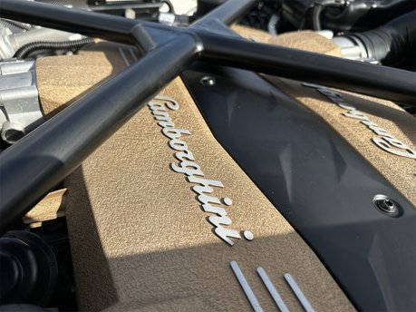 Lamborghini Aventador SVJ ROADSTER (LP 770-4) 98