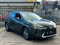 Lexus Ux 250H 5