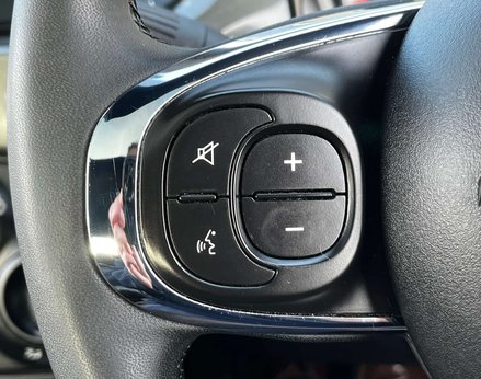 Fiat 500 1.0 500 Lounge MHEV 3dr 46