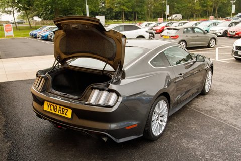 Ford Mustang ECOBOOST 36