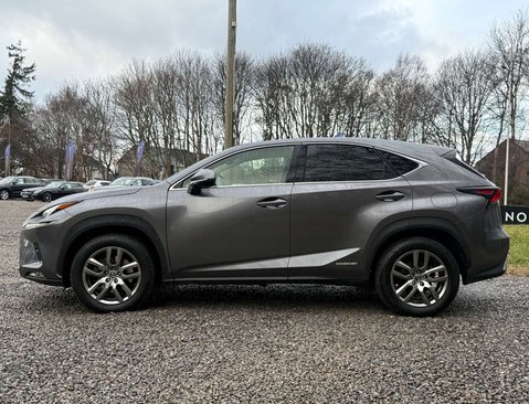 Lexus NX 2.5 NX 300h CVT 4WD 5dr 7