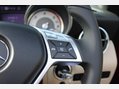 Mercedes-Benz SLK SLK250 CDI BLUEEFFICIENCY 17