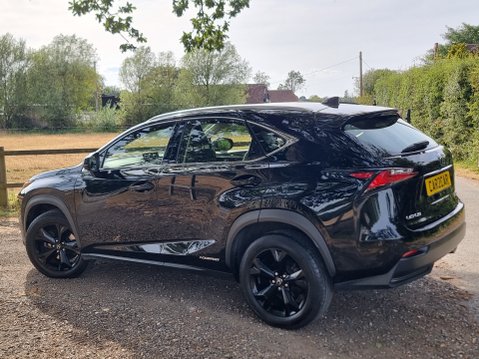 Lexus NX 300H SPORT 9
