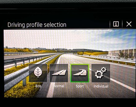 Skoda Karoq 1.5 Karoq SE L TSi Semi-Auto 5dr 49