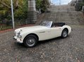 Austin Healey 3000 27