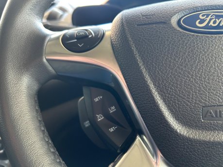 Ford Grand Tourneo Connect TITANIUM TDCI 33