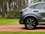 Ford Puma ST-LINE MHEV 20