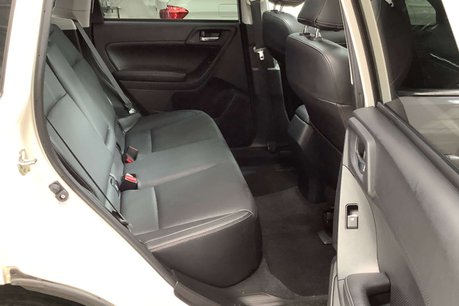 Subaru Forester 2.0i XE Premium SUV 5dr Petrol Lineartronic 4WD Euro 6 (s/s) EyeSight (150  10