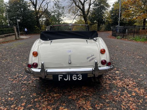 Austin Healey 3000 36