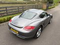 Porsche Cayman 24V PDK 14