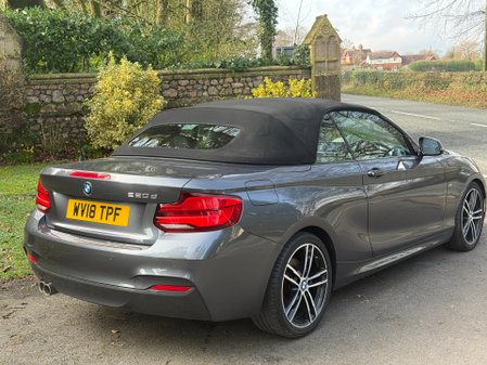 BMW 2 Series 220D M SPORT 19