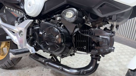 Honda MSX125 2015 ONLY 8K VERY CLEAN MINI MONKEY BIKE 125CC 23