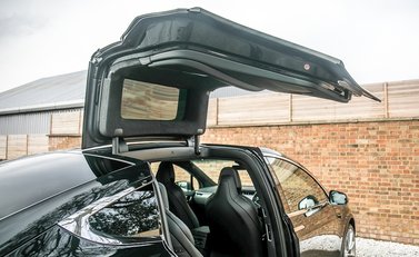 Tesla Model X 100D 22