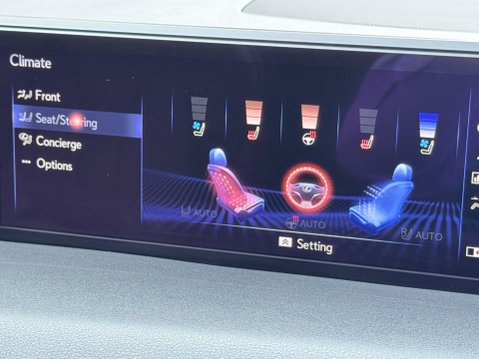 Lexus Ux 2.0 250h F Sport (Premium Plus) E-CVT E-FOUR Euro 6 (s/s) 5dr (Sunroof) 37