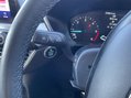 Ford Kuga TITANIUM FIRST EDITION ECOBLUE 17