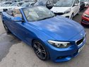 BMW 2 Series 2.0 220i M Sport Auto Euro 6 (s/s) 2dr