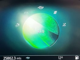 Ford Puma 1.0 Puma ST-Line MHEV 5dr 31