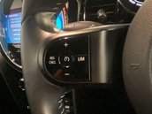 Mini Hatch Cooper S Electric Level 3 3dr 17