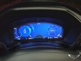 Ford Kuga 1.5 EcoBlue ST-Line Edition Euro 6 (s/s) 5dr 99