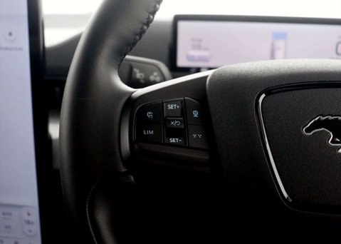 Ford Mustang Mach-E Mustang Mach-E Extended-Range RWD 5dr 33