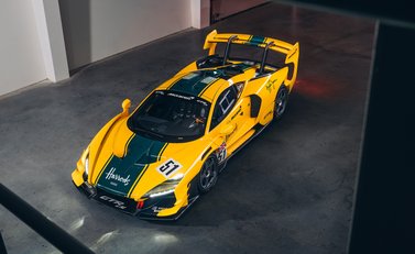 McLaren Senna GTR LM 95