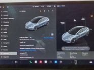 Tesla Model 3 Model 3 Standard Range + 4dr 19