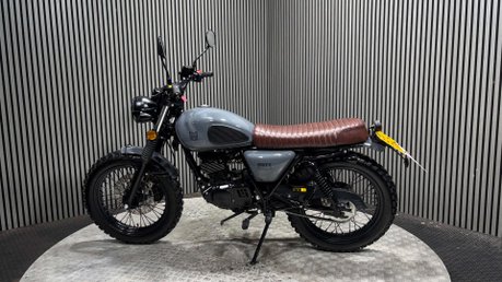 Mutt Hilts 2021 ONLY 529 MILES 1 OWNER WARRANTY 125CC SCRAMBLER 40