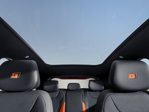 Dolphin G DM-i 8