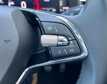 Skoda Kamiq 1.0 Kamiq SE L Executive TSI 5dr 51