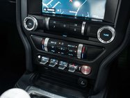 Ford Mustang 5.0 Mustang Bullitt 2dr 40