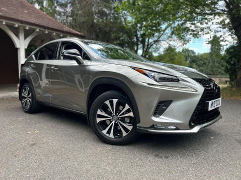 Lexus NX 300H 14