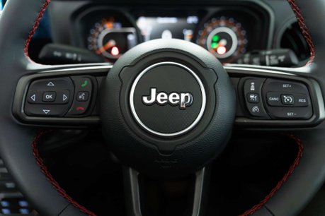 Jeep Wrangler 2.0 Wrangler Rubicon Unlimited Edition Auto 4WD 4dr 24