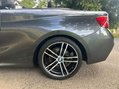 BMW 2 Series 218I M SPORT 24