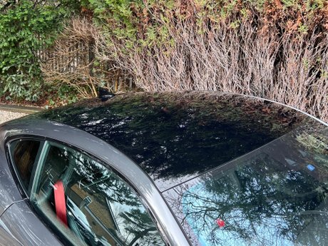 Jaguar F-Type 2.0i Chequered Flag Auto Euro 6 (s/s) 2dr 16