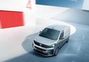 Vivaro Electric 1